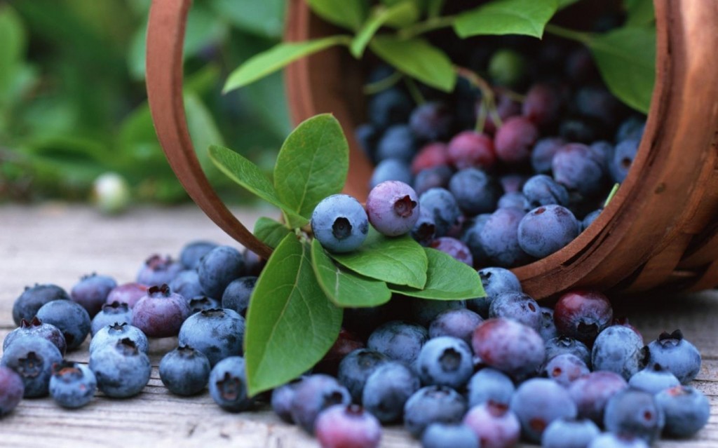 NguyenBinhVTV-150415030407-blueberries